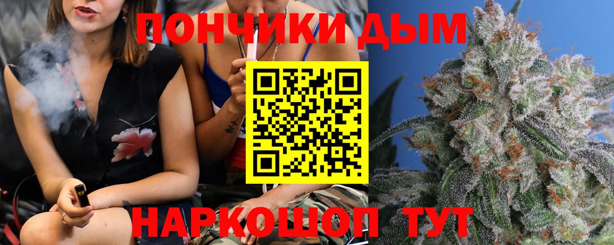 Шишки марихуана семена Дубна